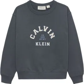 calvin-klein-ib0ib02619-sweatshirt