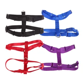 nobleza-dog-harness-assorted