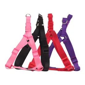 nobleza-dog-harness-assorted