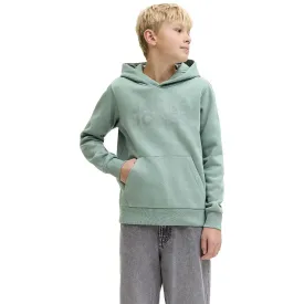 jack---jones-sweat-a-capuche-corp-logo