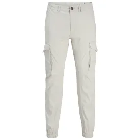 jack---jones-st-paul-flake-cargohose