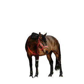 equitheme-xmas-grime-og-leietau