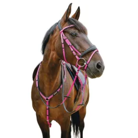 norton-equestrian-endurance-trans