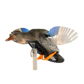 mojo-outdoors-esquer-mini-mallard-hen