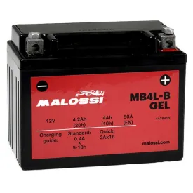 malossi-adly-at-city-bird-2t-50-1998-2003-gelbatteri