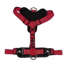 nayeco-x-trm-cronos-neon-flash-dog-harness