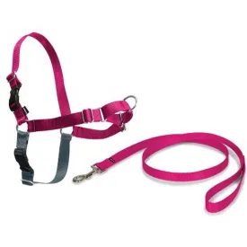 petsafe-easy-walk-狗背带