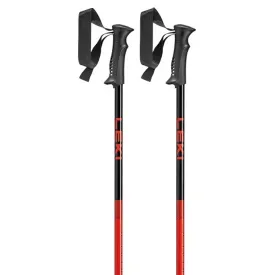leki-alpino-65346072-sentinel-poles
