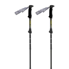 gabel-mont-blanc-4.0-杖