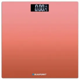 blaupunkt-bp5008-秤