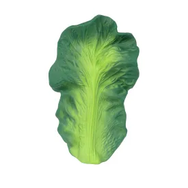 oli-carol-mordedor-kendall-the-kale