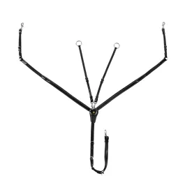 equestro-leather---elastic-inserts---removable-martingale-borsttuig