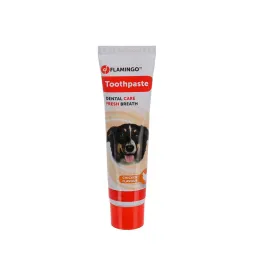 flamingo-chicken-dog-toothpaste