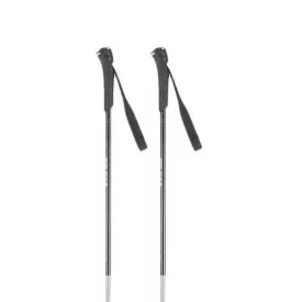 rossignol-ft-500-poles