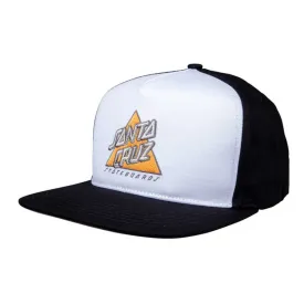 santa-cruz-bone-not-a-dot-snapback