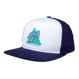 santa-cruz-bone-not-a-dot-snapback