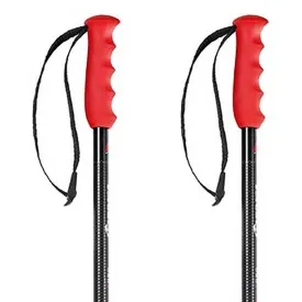 nordica-freeride-pro-poles