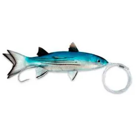 williamson-live-split-tail-mullet-blodt-agn