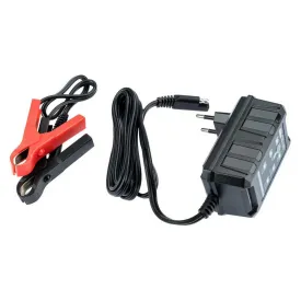 baas-chargeur-6-12-v