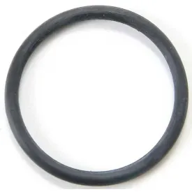 widek-explorer-splashy-whale-ovikello