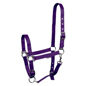 harrys-horse-licol-3x-adjustable