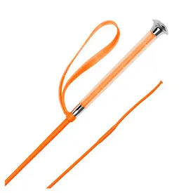 harrys-horse-colour-whip