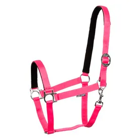 harrys-horse-cabrestro-padded