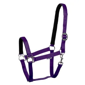 harrys-horse-cabrestro-padded