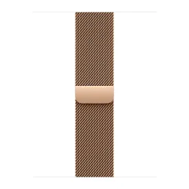 apple-sangle-40-mm-milaneseloop