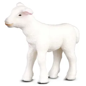 collecta-karitsan-hahmo