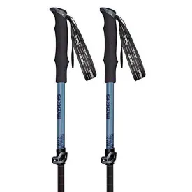 masters-speedster-stavar