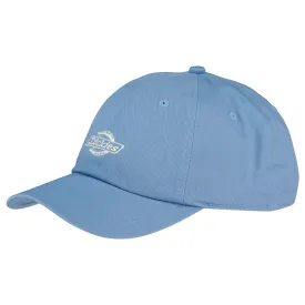 dickies-bone-essential-dad