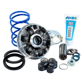 polini-241.749-variator-kit