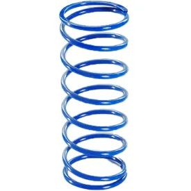 polini-243.089-variator-kit