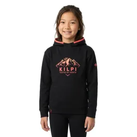 kilpi-northen-troja