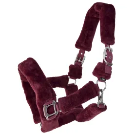 lexhis-nylon-teddy-halter
