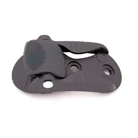 flying-eagle-扣子