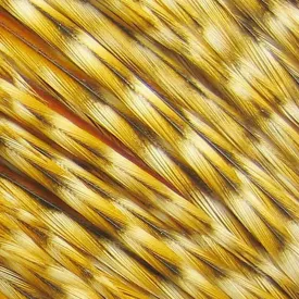 baetis-pluma-colgadera