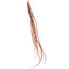 baetis-piuma-91302003-ba