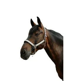 equitheme-glowy-nylon-halfter