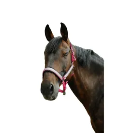 equitheme-glowy-nylon-굴레