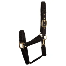 kentucky-3d-mesh-grimmor