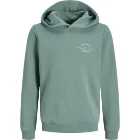 jack---jones-sudadera-con-capucha-brandon