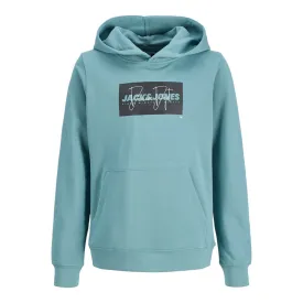 jack---jones-moletom-com-capuz-cole-print