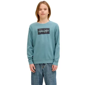 jack---jones-sudadera-cole-print