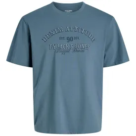 jack---jones-denver-graphic-short-sleeve-t-shirt