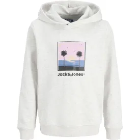 jack---jones-sudadera-con-capucha-perry