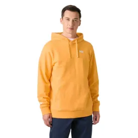 helly-hansen-sweat-a-capuche-shoreline
