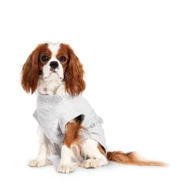 karlie-protector-corporal-para-perro