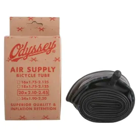 odyssey-camera-daria